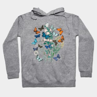 Lispe Butterflies Vintage (1882) European Butterfly Collection Hoodie